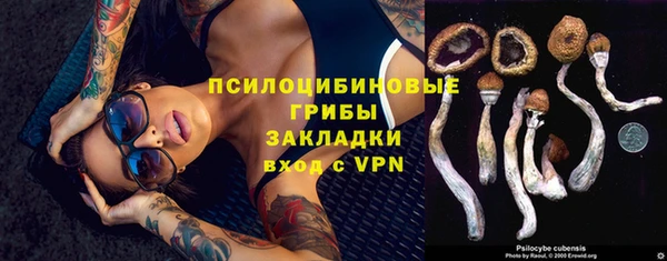 не бодяженный Абаза