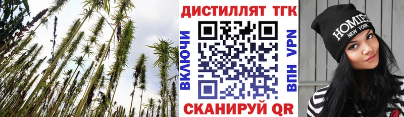 как найти наркотики  Чегем  Дистиллят ТГК THC oil 