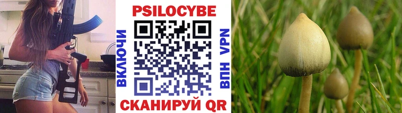 Галлюциногенные грибы прущие грибы Чегем