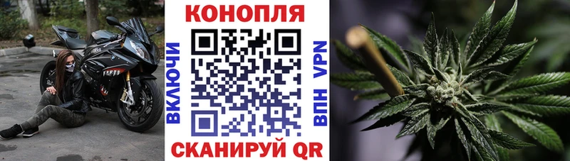 Канабис планчик  как найти закладки  Чегем 